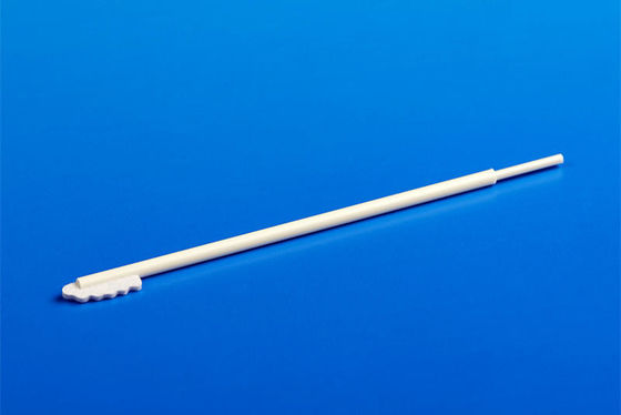 Zahnbürsten-nichtgewebter Oropharyngeal Putzlappen ABS Griff für DNA-Test